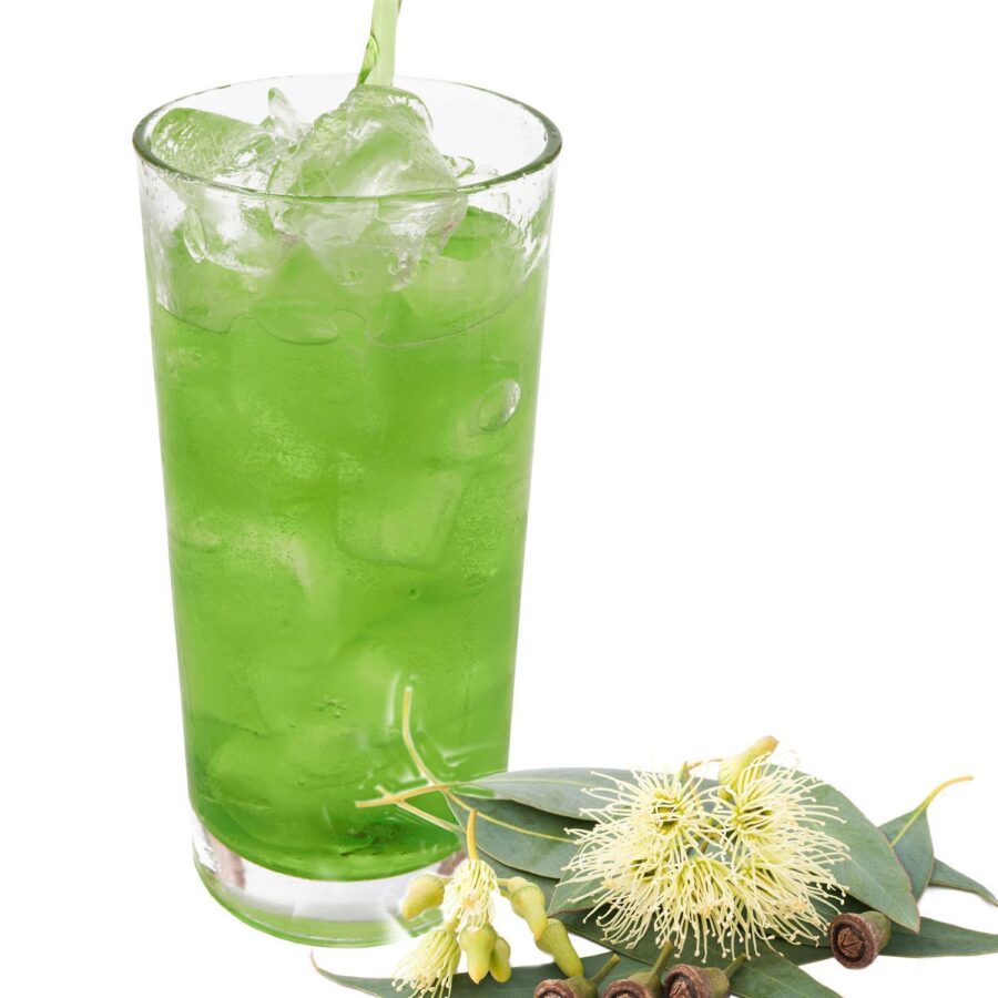 Eukalyptus Geschmack allergenfreies Energy Drink Pulver