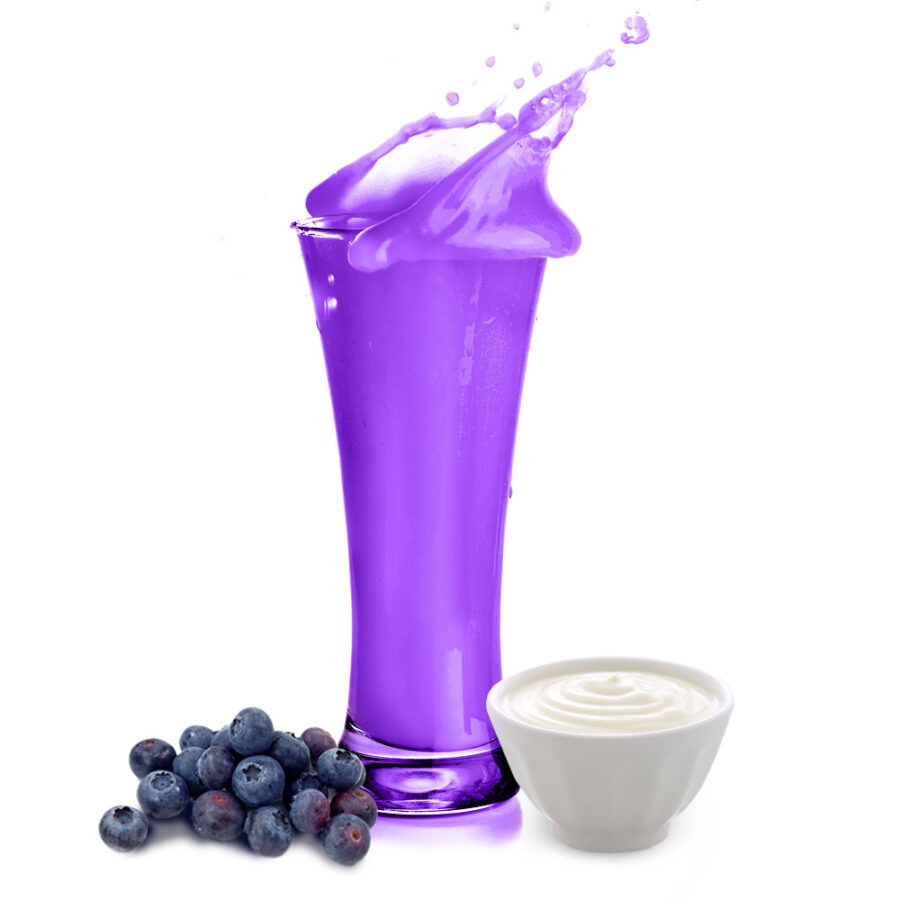 Heidelbeer Joghurt Geschmack Molkepulver mit Protein und L-Carnitin