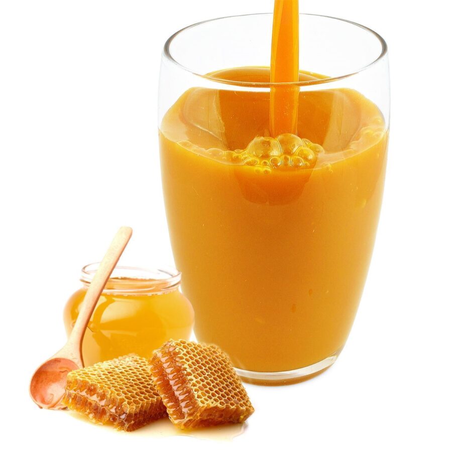 Honig Geschmack Isotonisches Getränkepulver mit L-Carnitin