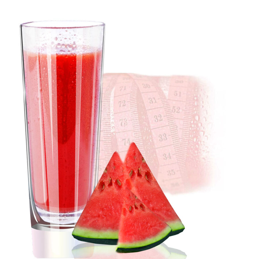 Melone Geschmack Veganes Proteinpulver Eiweißpulver mit L-Carnitin